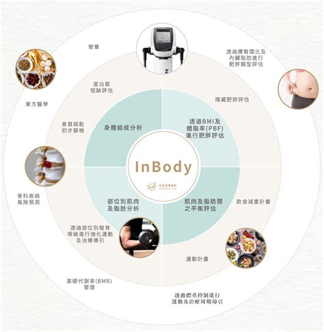 體型分析|專業體組成分析：了解體脂肪、肌肉、水分、細胞健康。